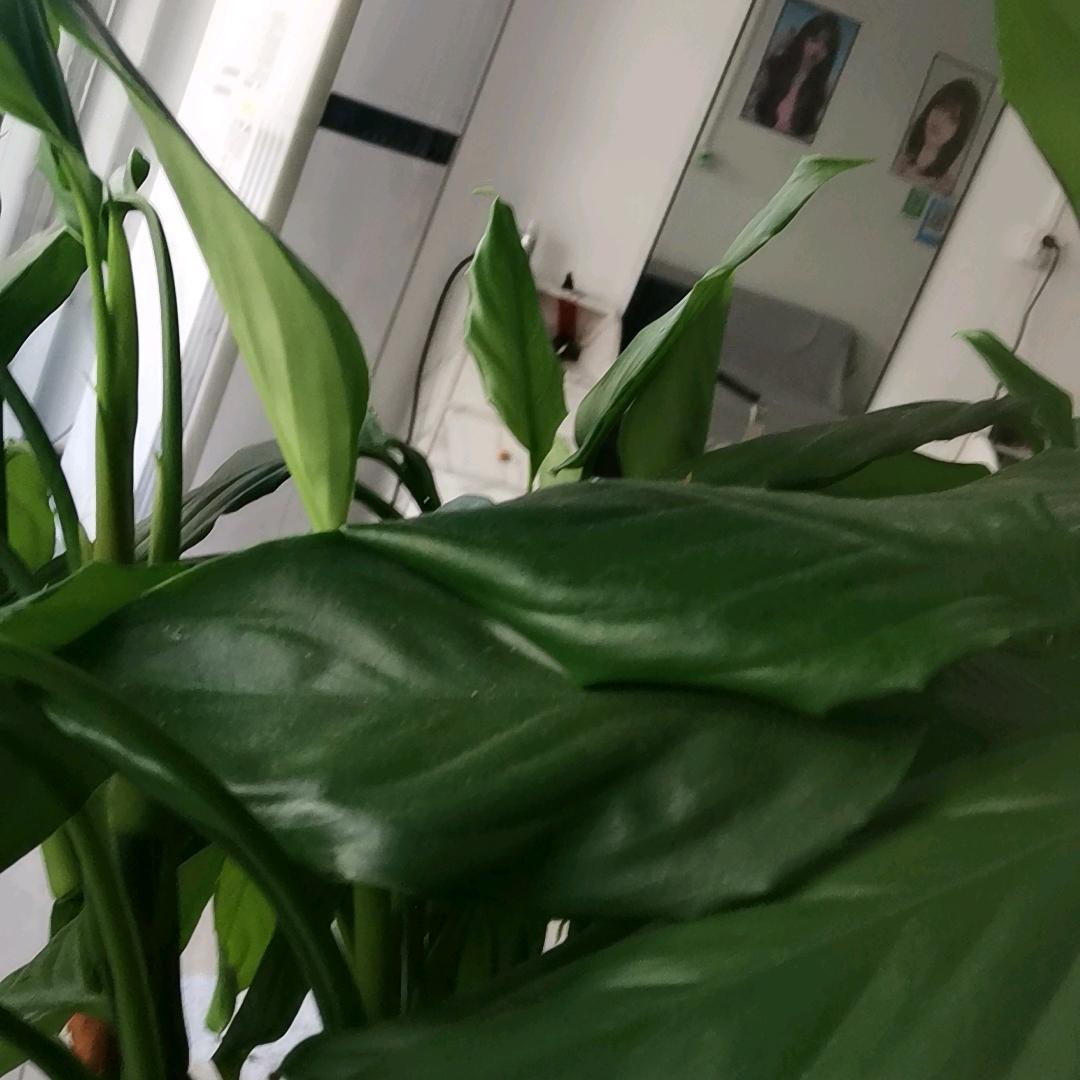 关注你了。