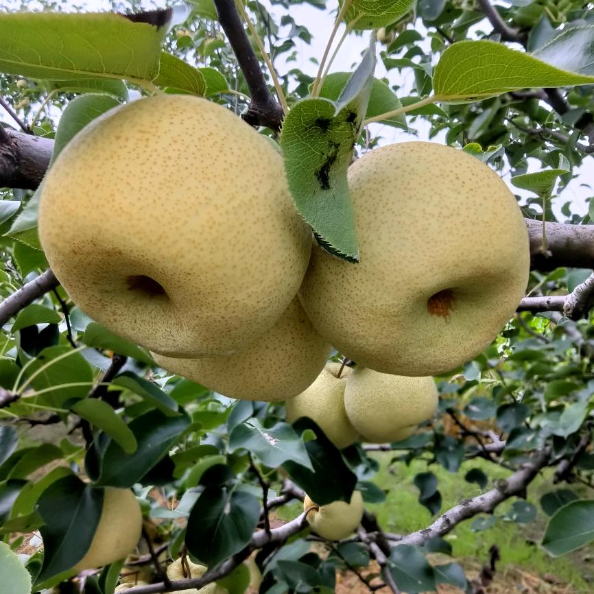 为明天美好奔跑