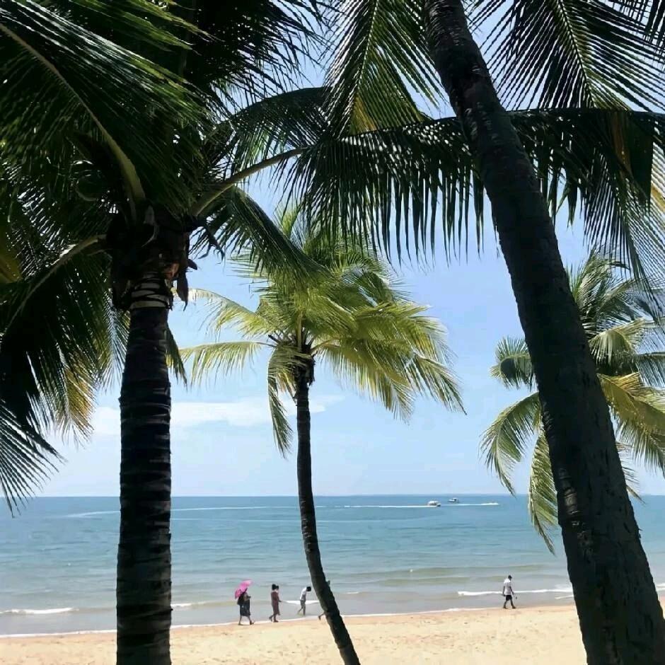 水水水