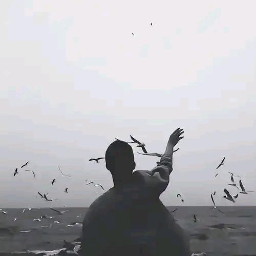 7号衣库(东圃站)衣库20直播号