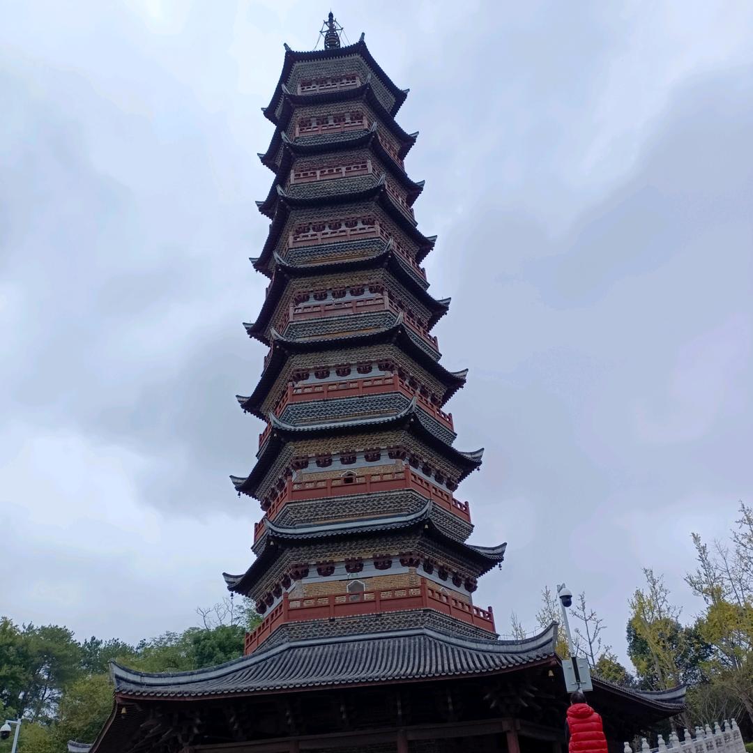 户外聊天直播
