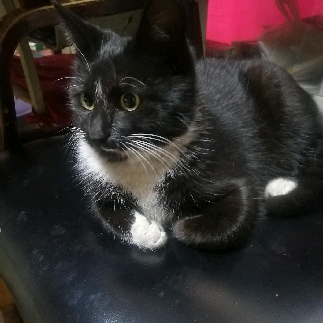 🌈🌈🌈虹红🌈🌈🌈