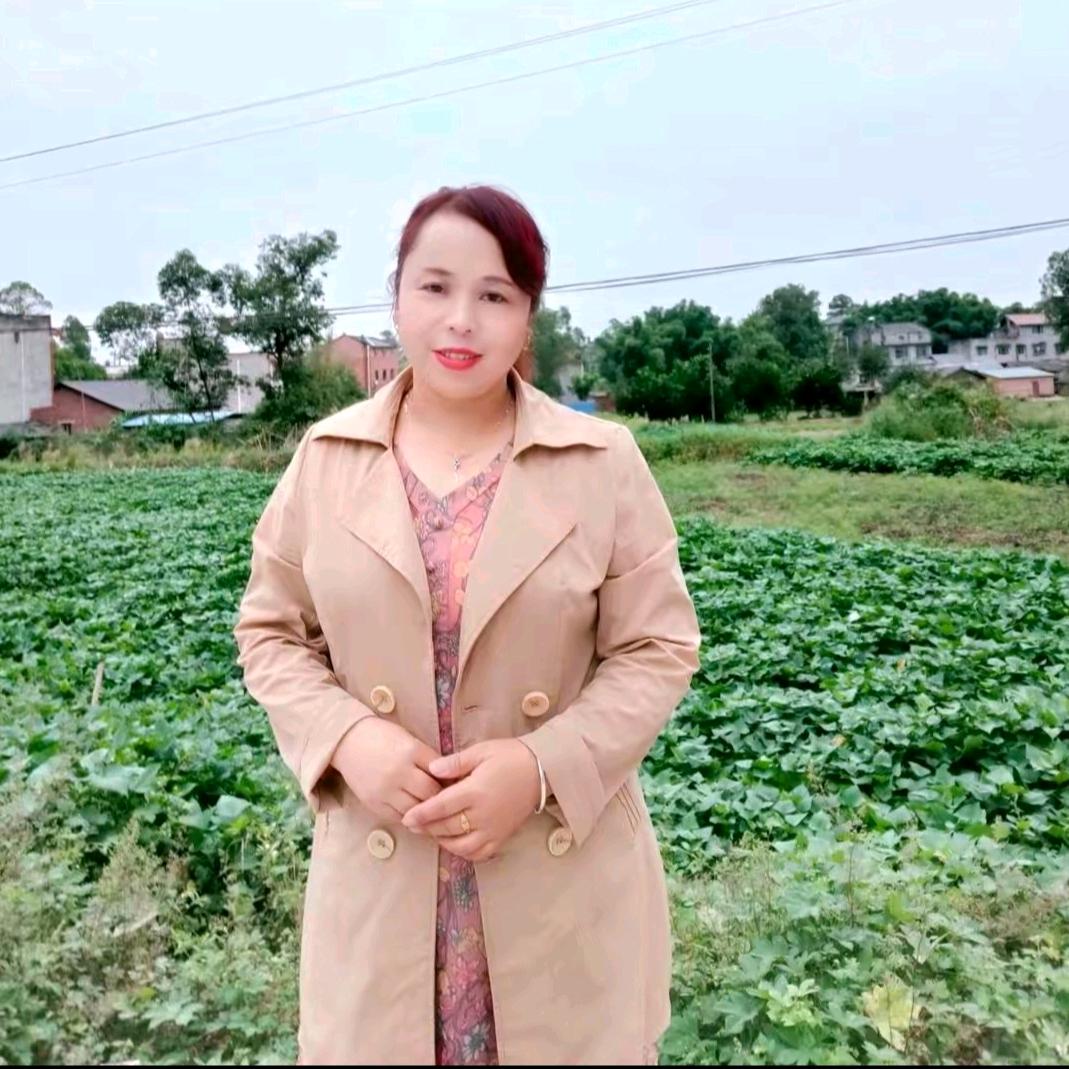 英姐说媒