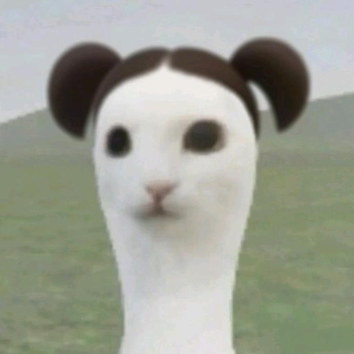 也曾大喊来财也曾渴望玉牌