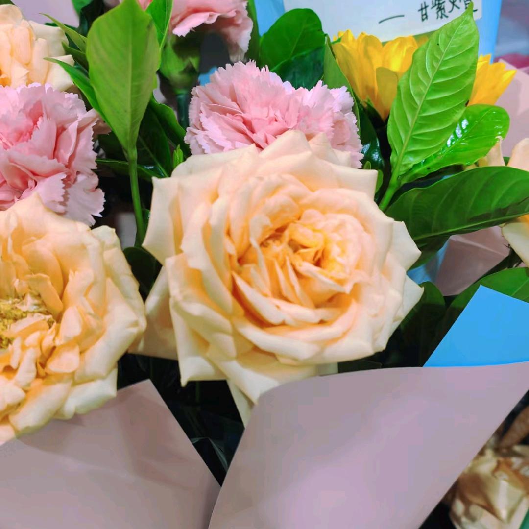 花儿朵朵
