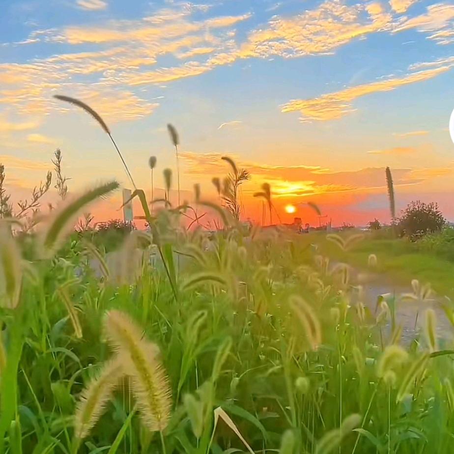 仅此而已