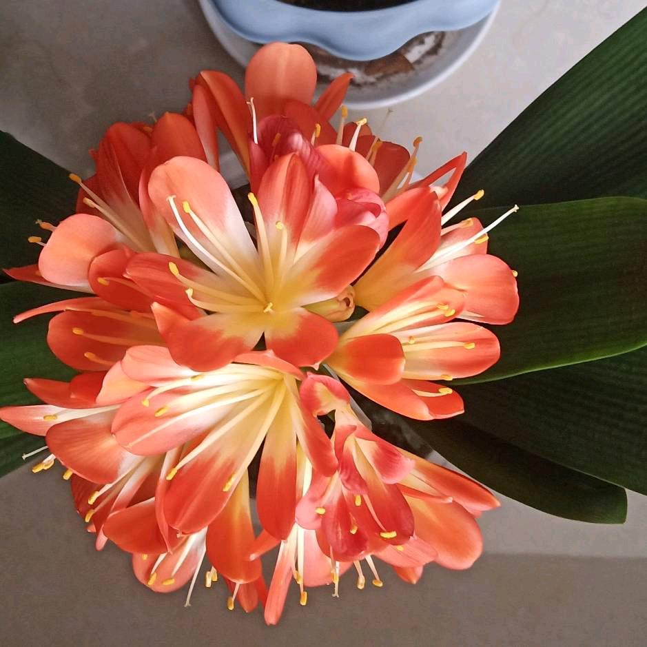 静养