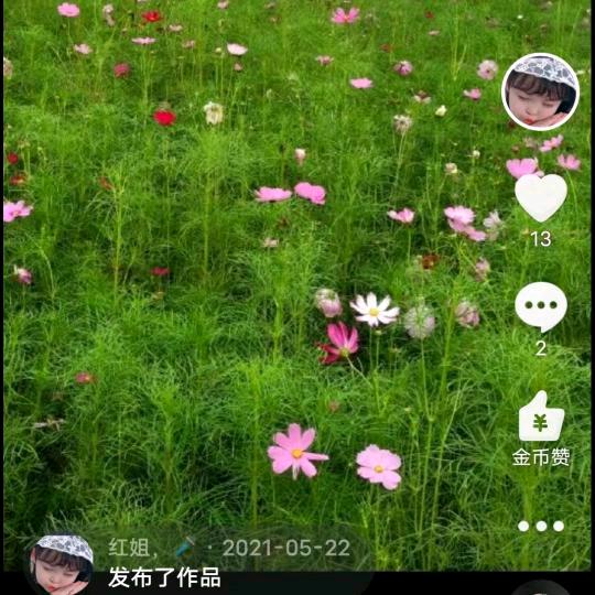 糖果