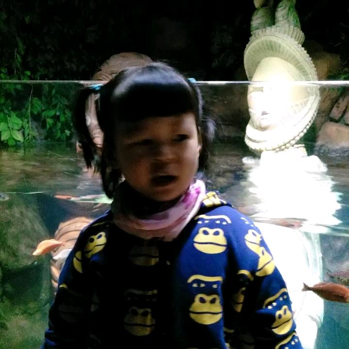 浮云