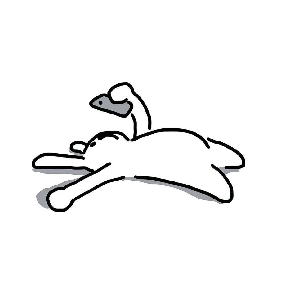 不🐔道
