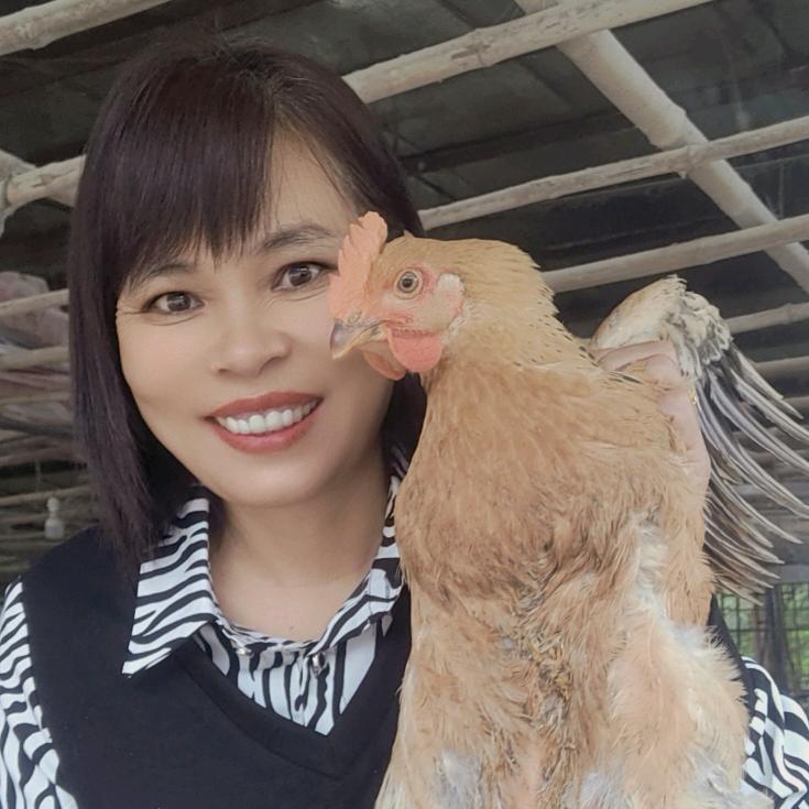 东华养鸡人(厨窗有好物)