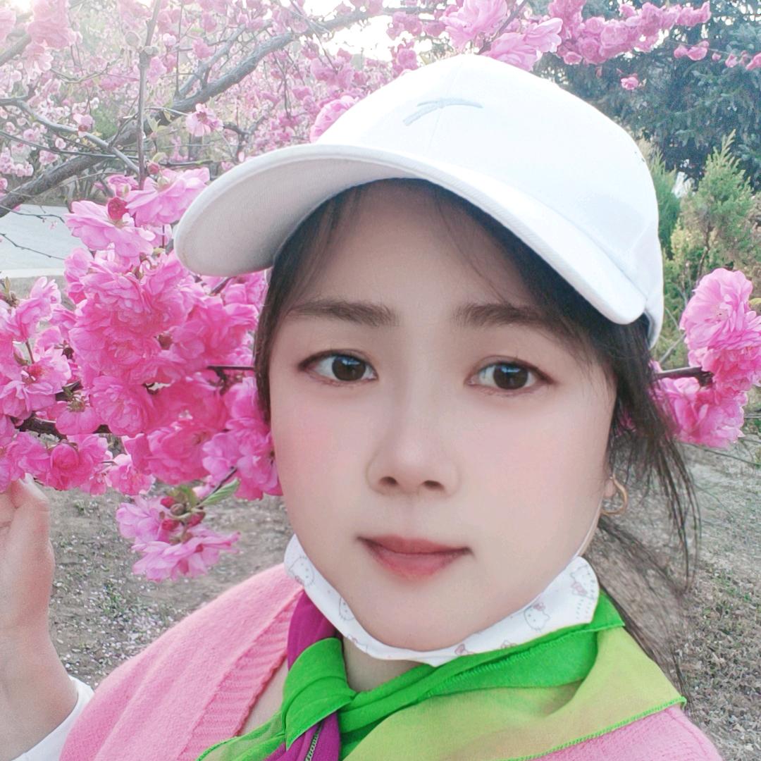 🌸春去春又回🌸