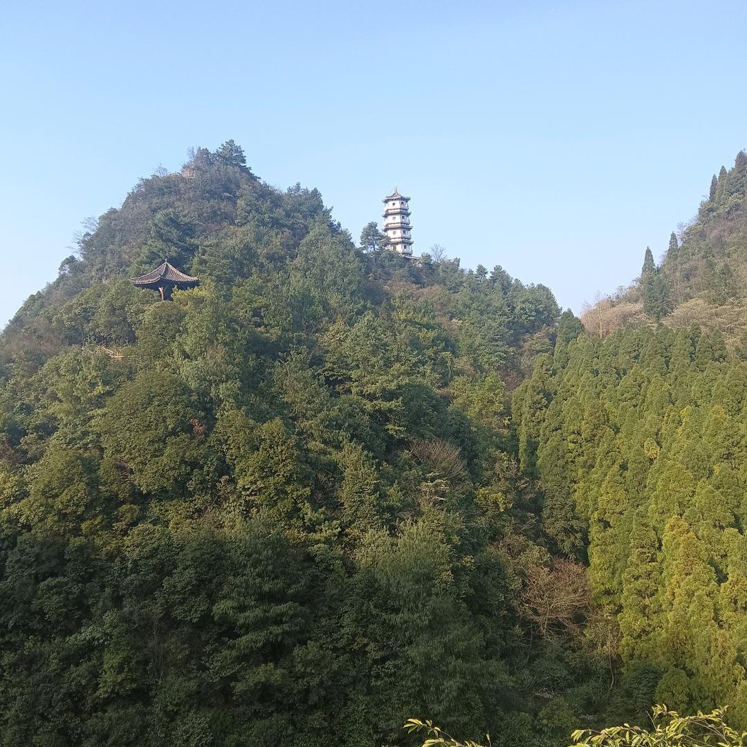 美好未來