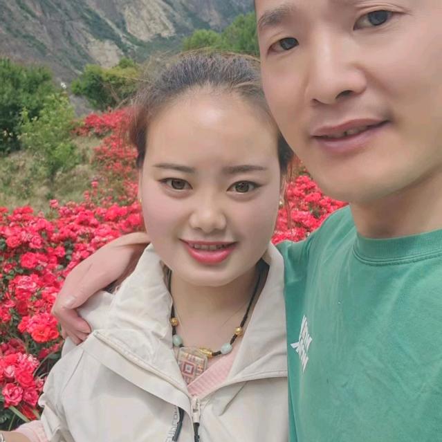 沈先生的小宝