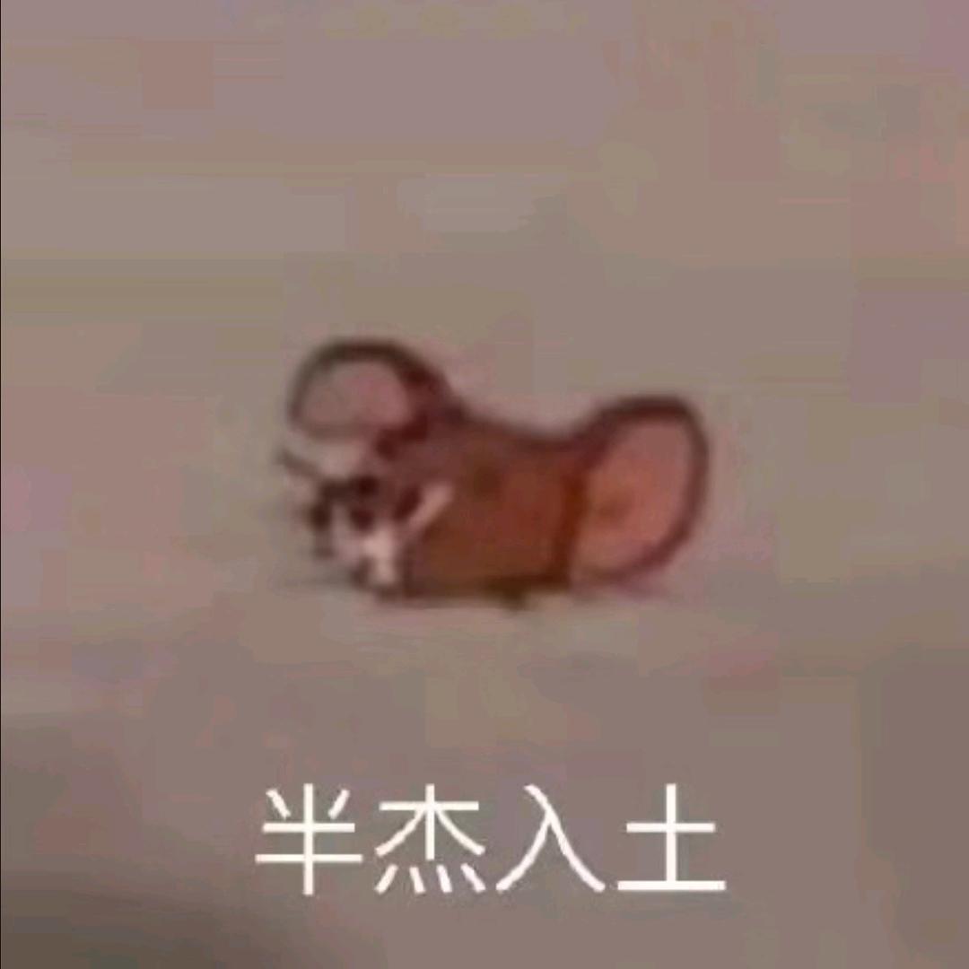 ½伍佰