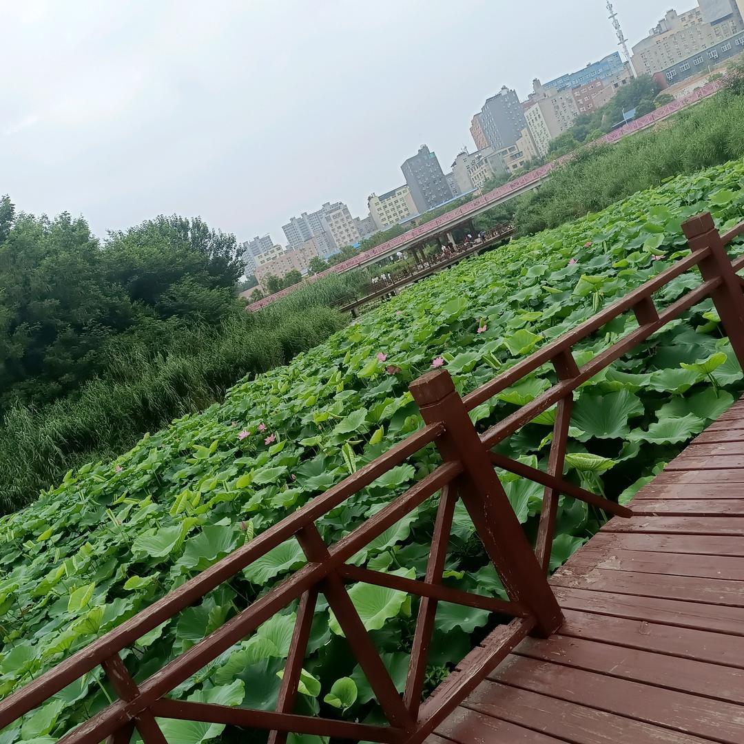 橙乐宝贝