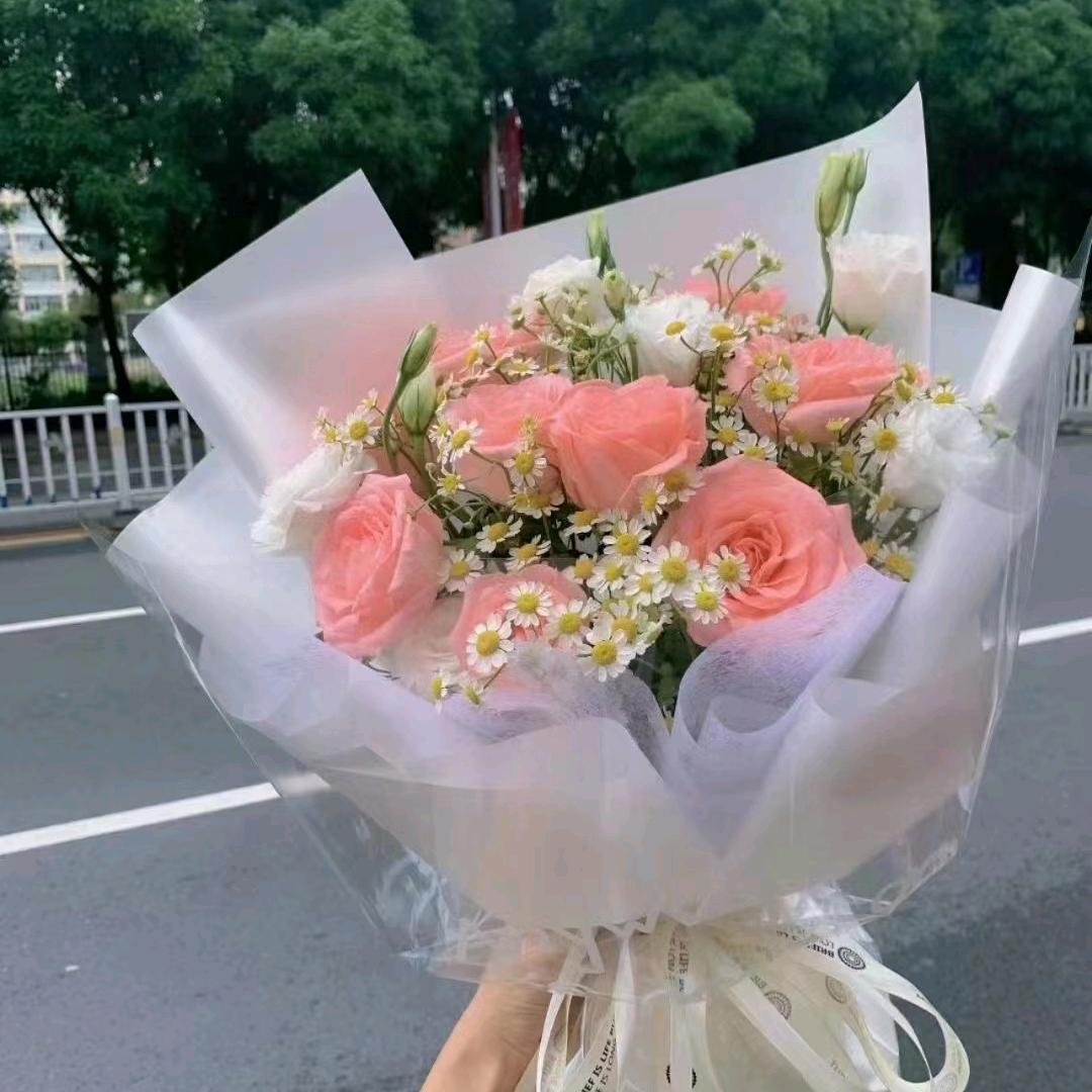 张某的诗与远方