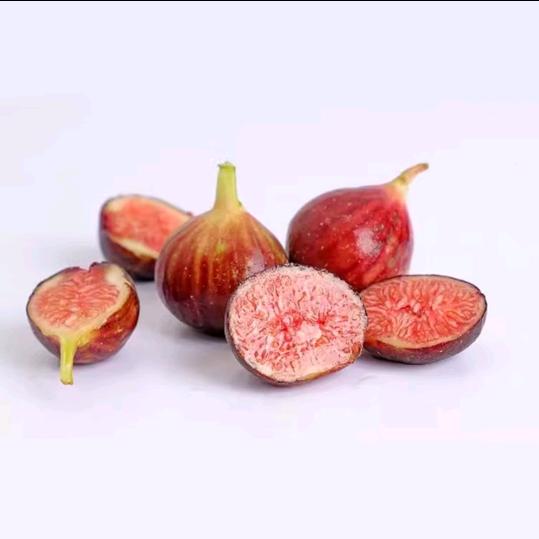 鲜雅堂花痴果树苗木专卖店