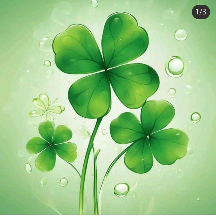 🍀🍃💞余生安好💞🍃🍀