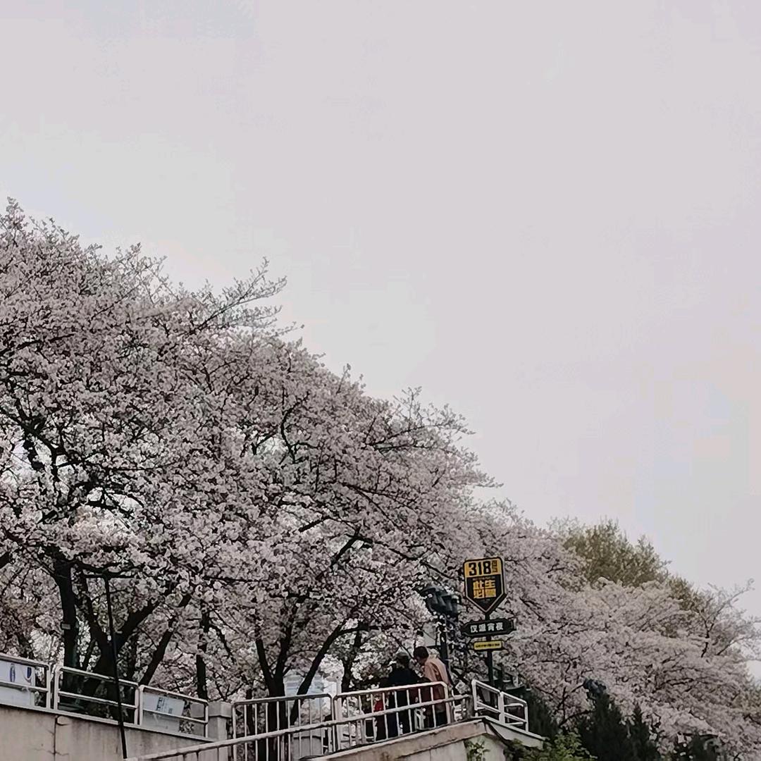 夏沫@