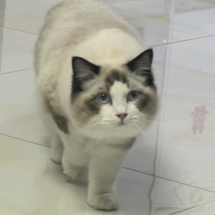 下辈子不当辅导员