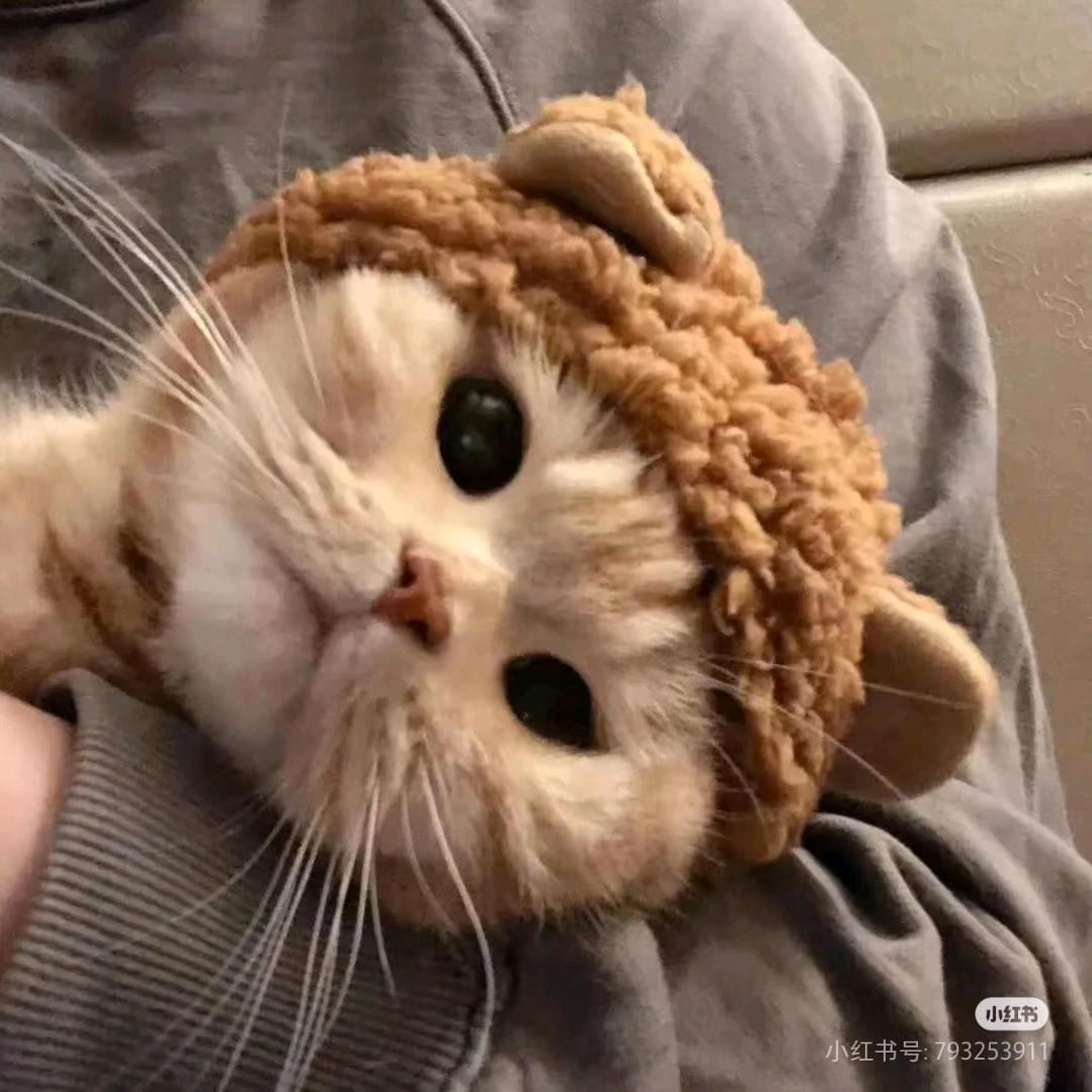 默笙.
