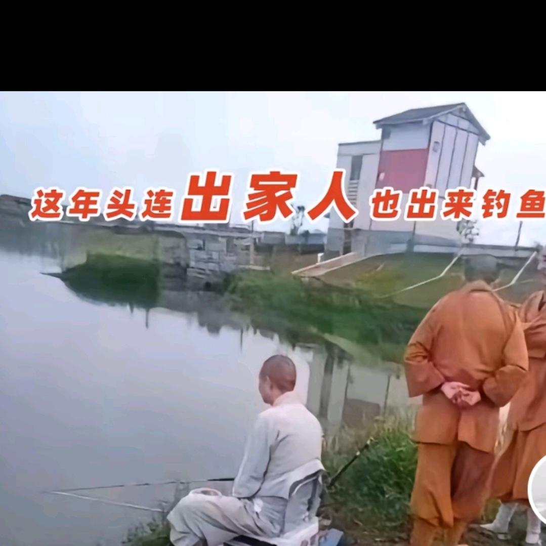 压༺缩༒饼༻甘