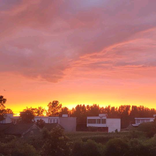 哈哈哈哈哈……