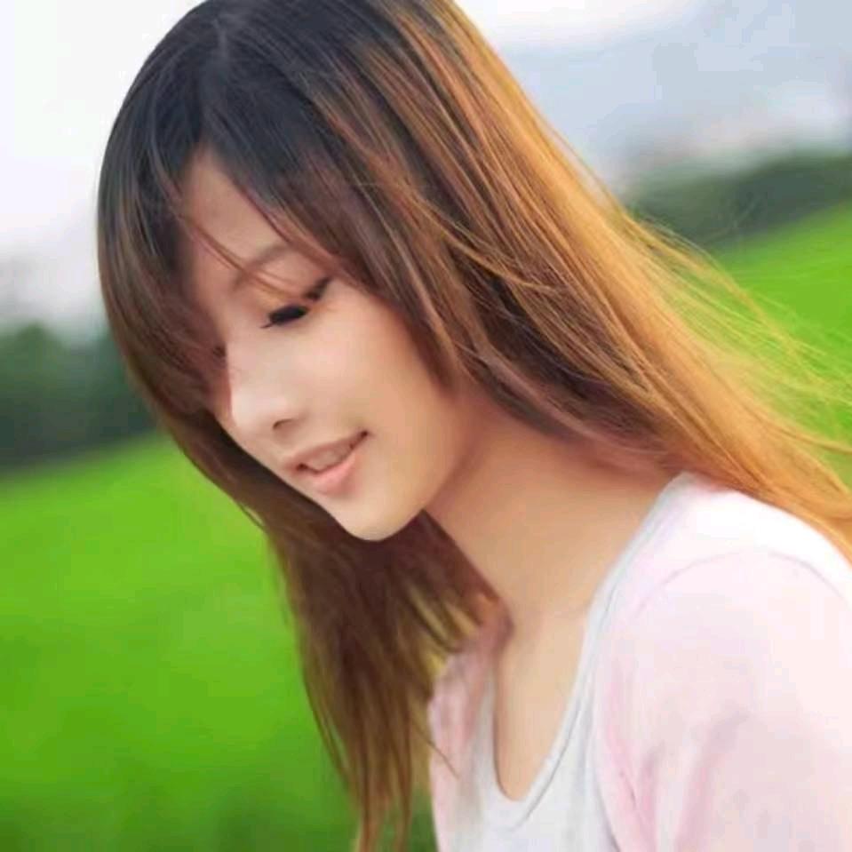 飘逸乖乖