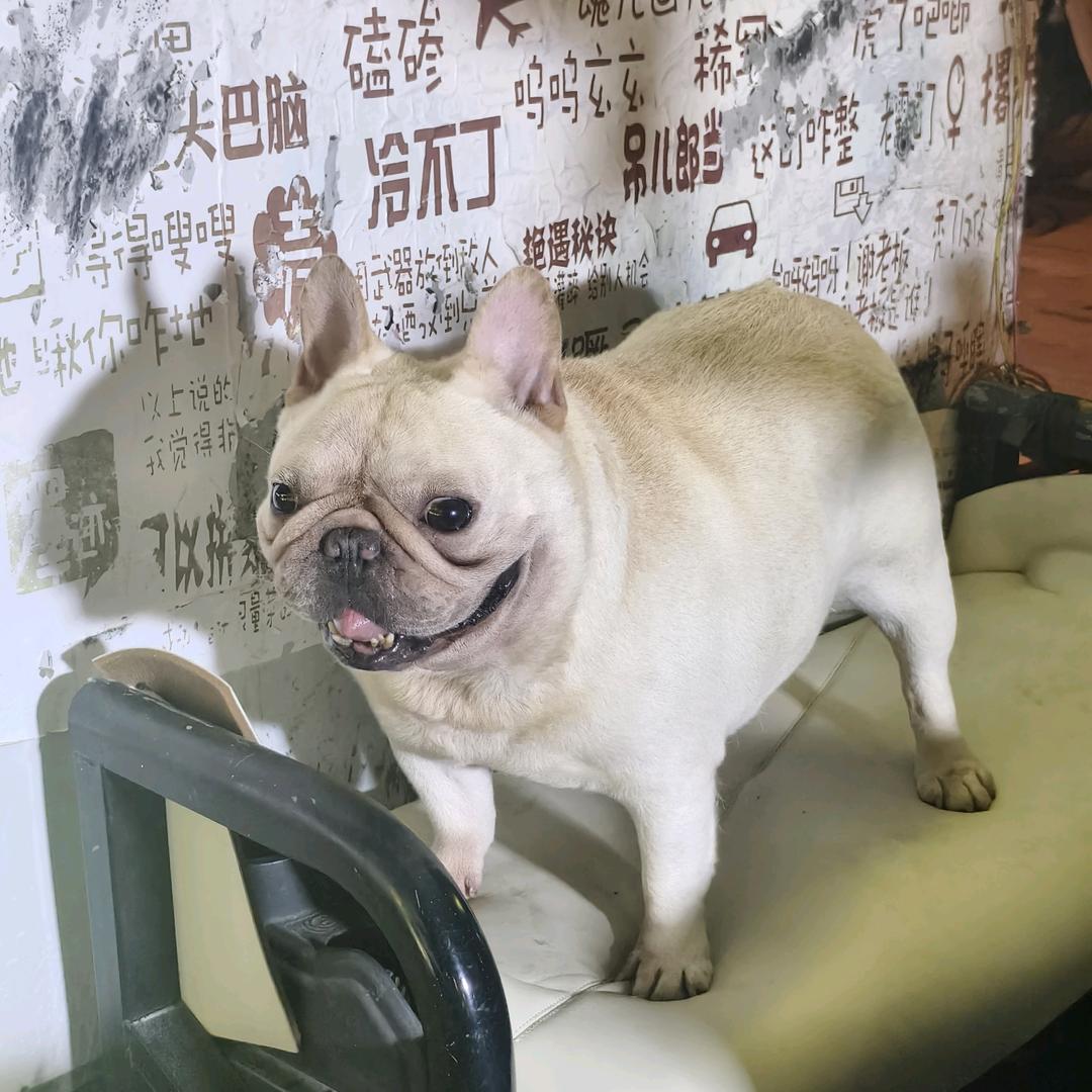 朝暮