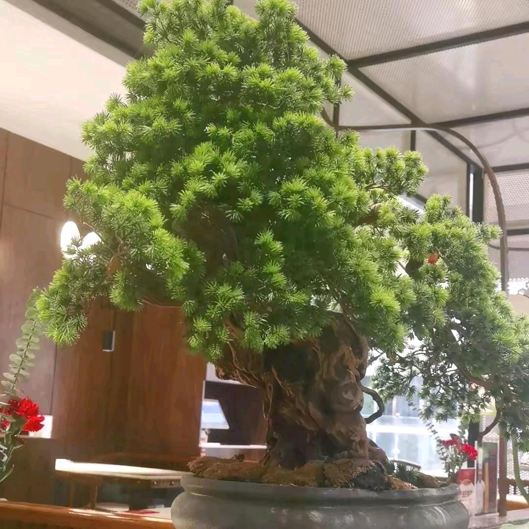 时间不变