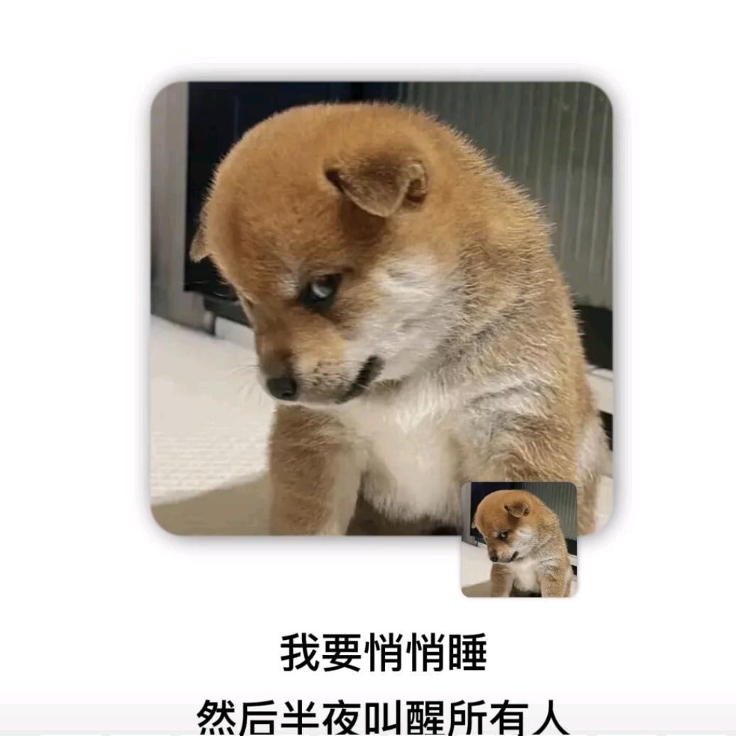 🎋予我💞心安