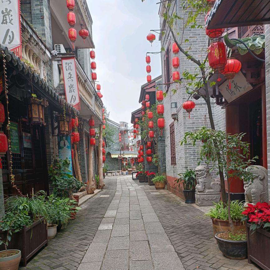 喝着清酒走人生