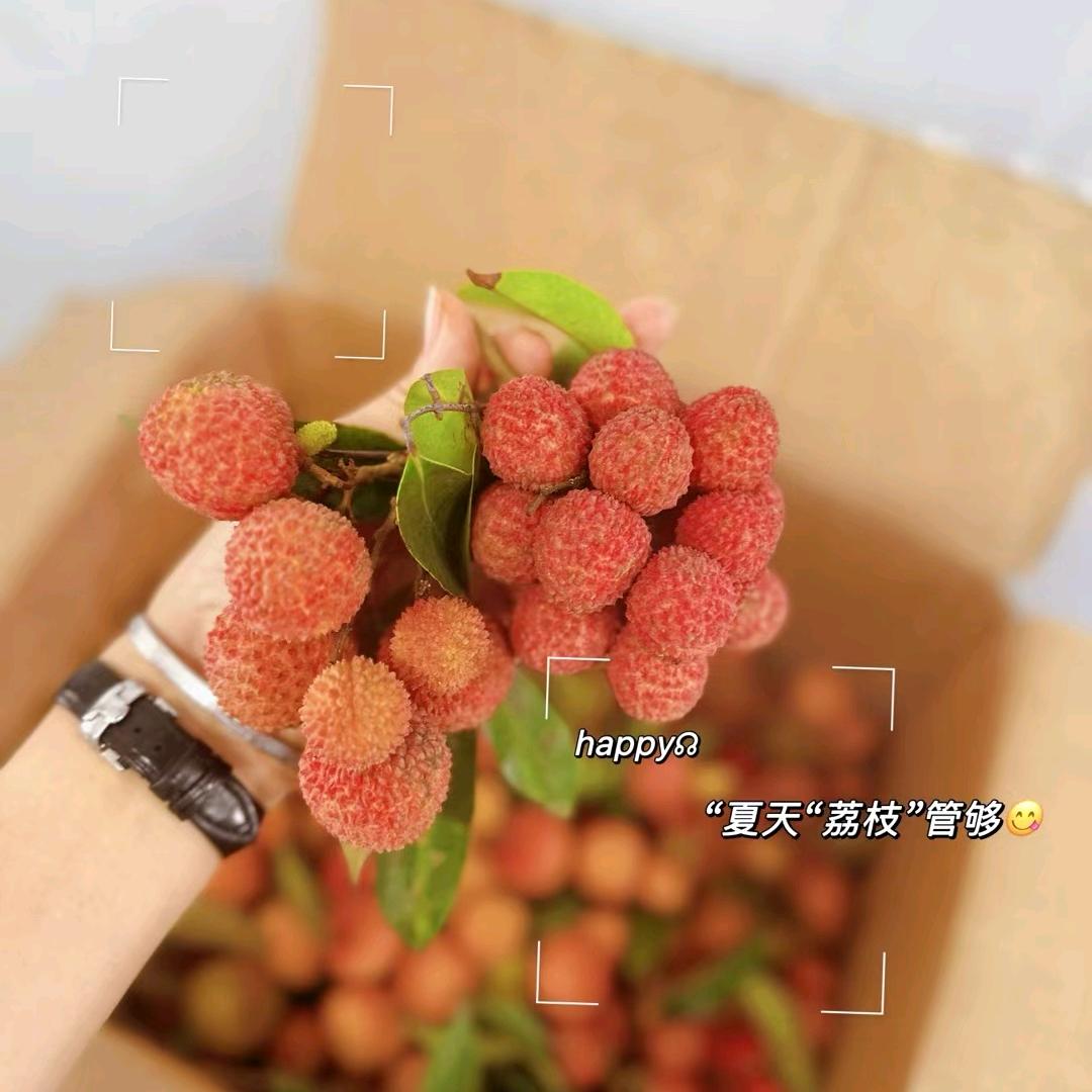 宁静致远