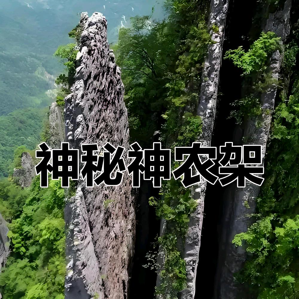 探秘神农架