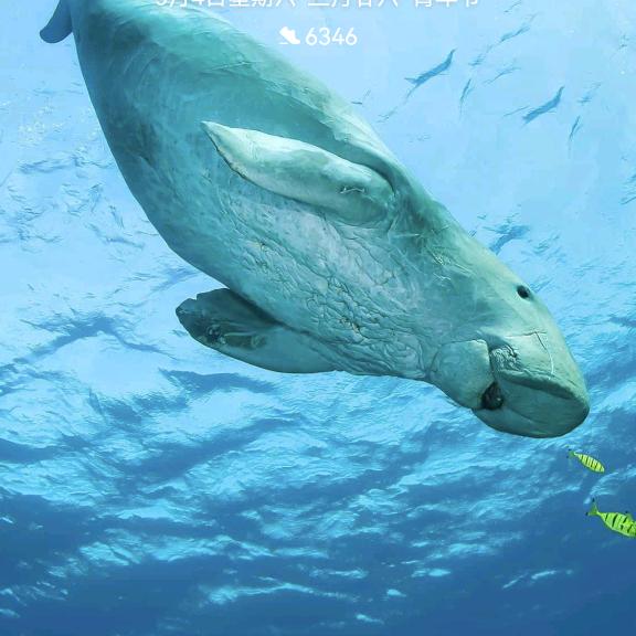 牧童童鞋母婴店