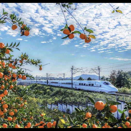 在变老的路上善待自己