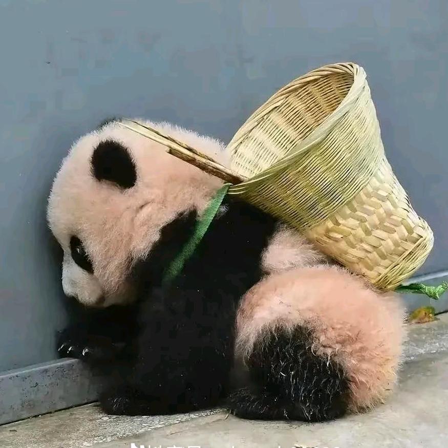 👸热爱我的热爱