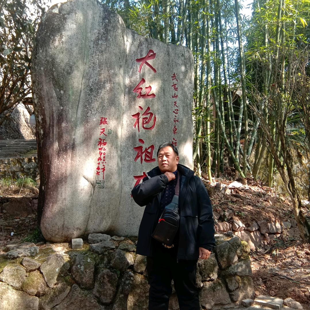 东山在起