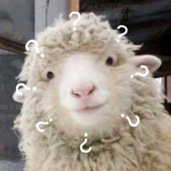云－羊