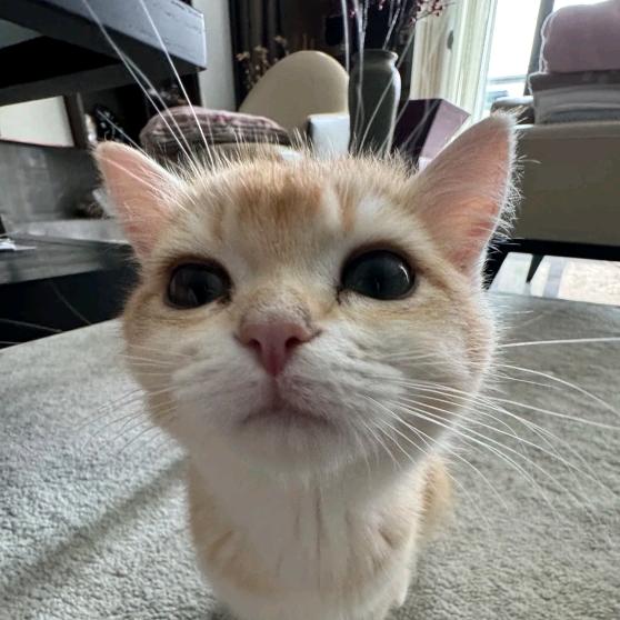 闻所未文文文文