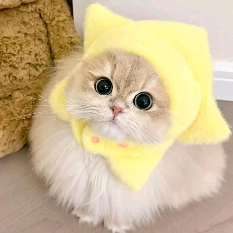 杲钱钱