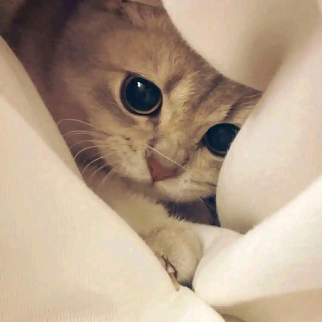 Jay愁愁