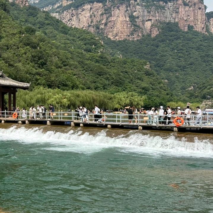 情感伤心❤️，婚姻陶🍺醉，一杯喝醉，