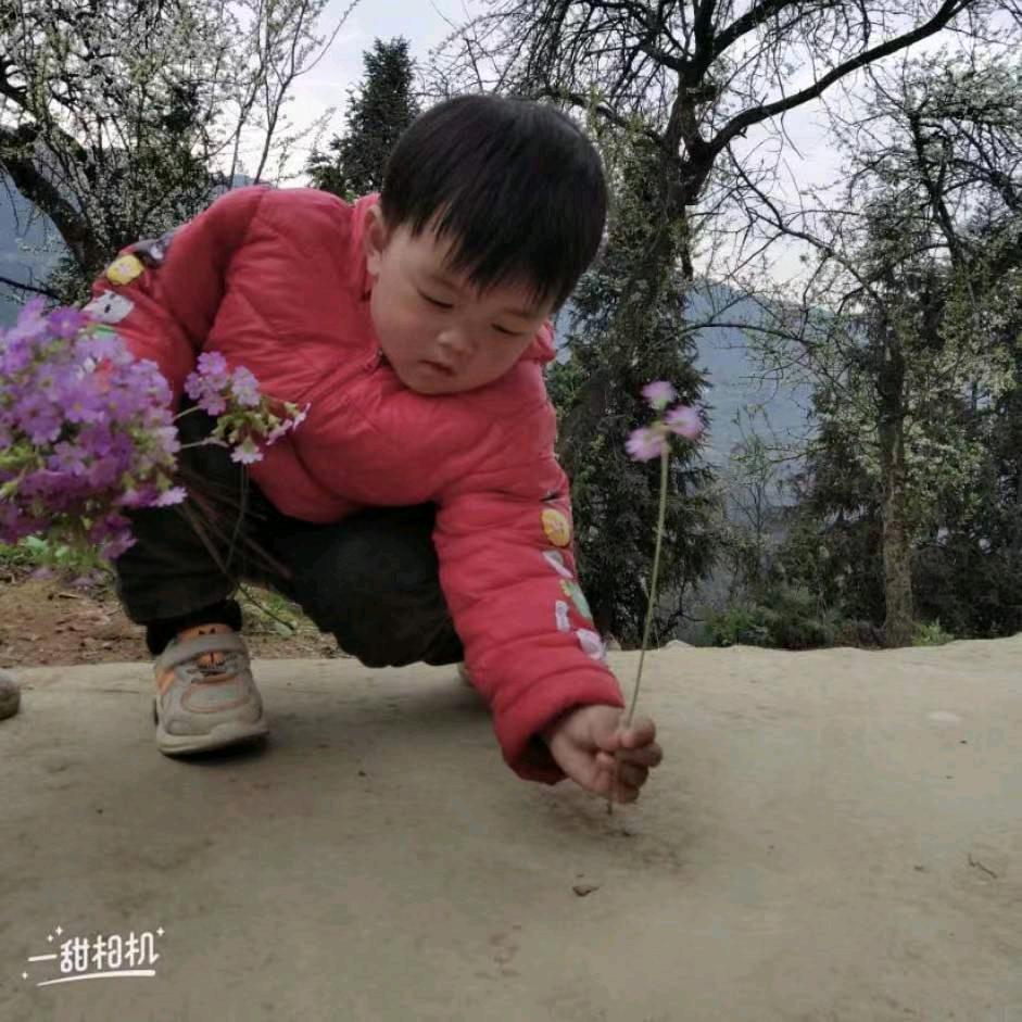 红尘过客