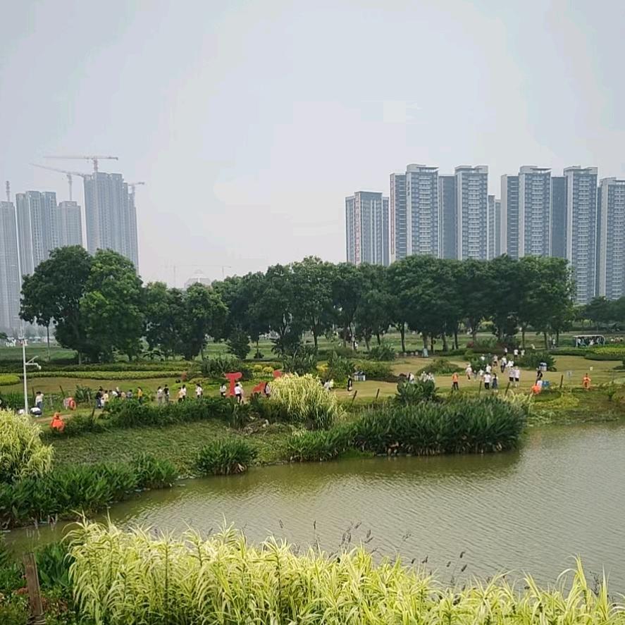 ༺默默无为༻
