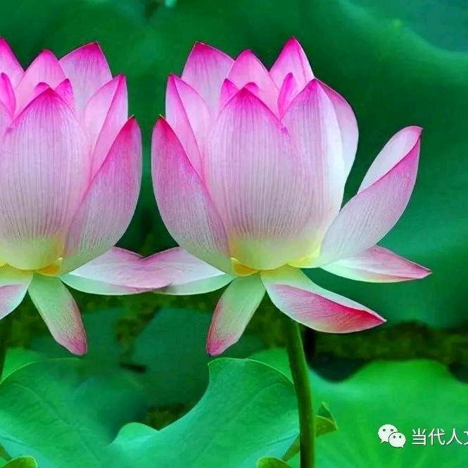 那儿才是我安稳的家？