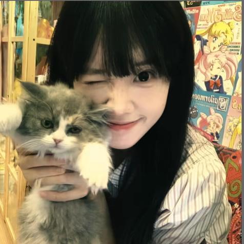 木子子