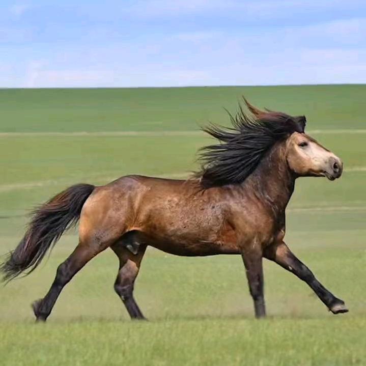 李_253425650