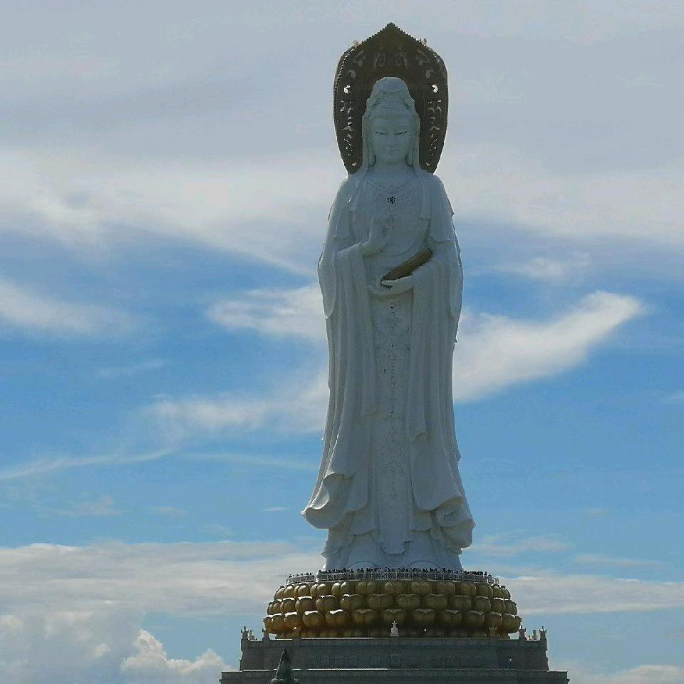 海燕 正宗桥头地瓜